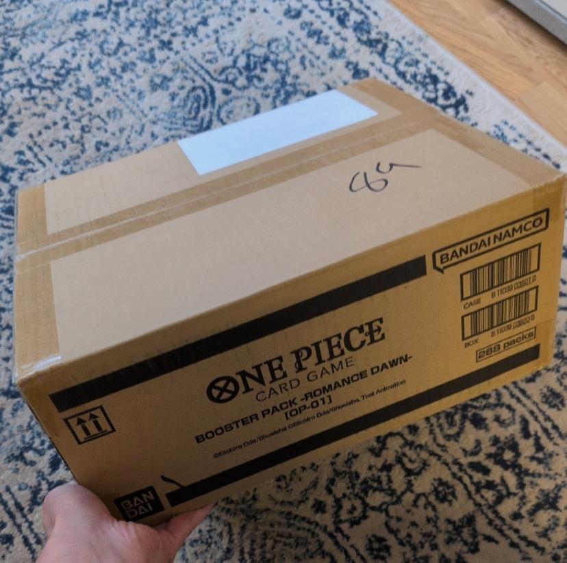 OP-01 case